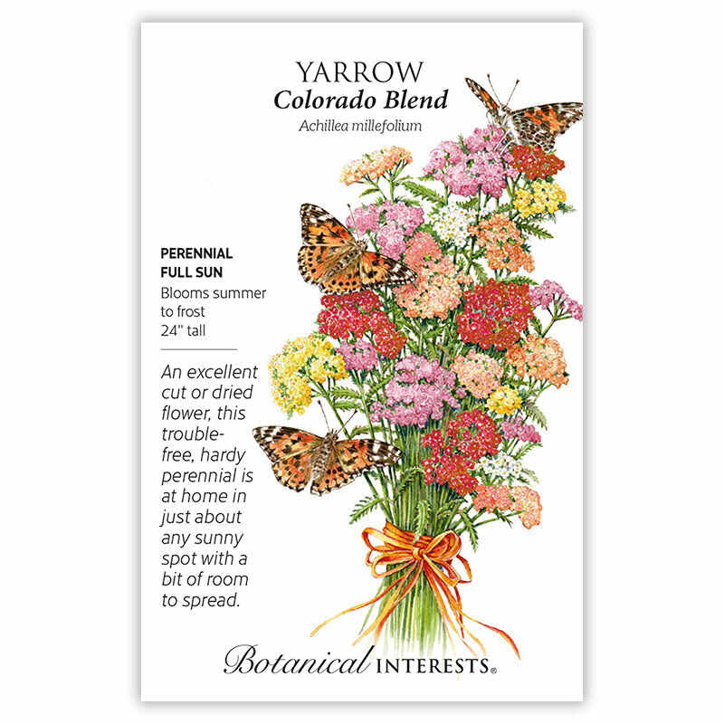 Seed packet for Colorado Blend Yarrow illustrating a bouquet of red, pink, yellow, orange and white clustered blooms tied with ribbon and visited by three painted lady butterflies, with printed text noting it's a full-sun perennial reaching 24 inches that blooms summer to frost.
