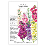 Botanical Interests Column Blend Stock seed packet illustrating densely packed double flower spikes in peach, pink, white, magenta, purple, and yellow, with text noting it grows 24 to 30 inches tall in full sun to part shade.