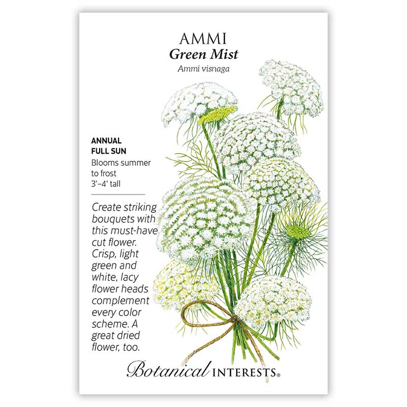 Seed packet for Ammi visnaga 