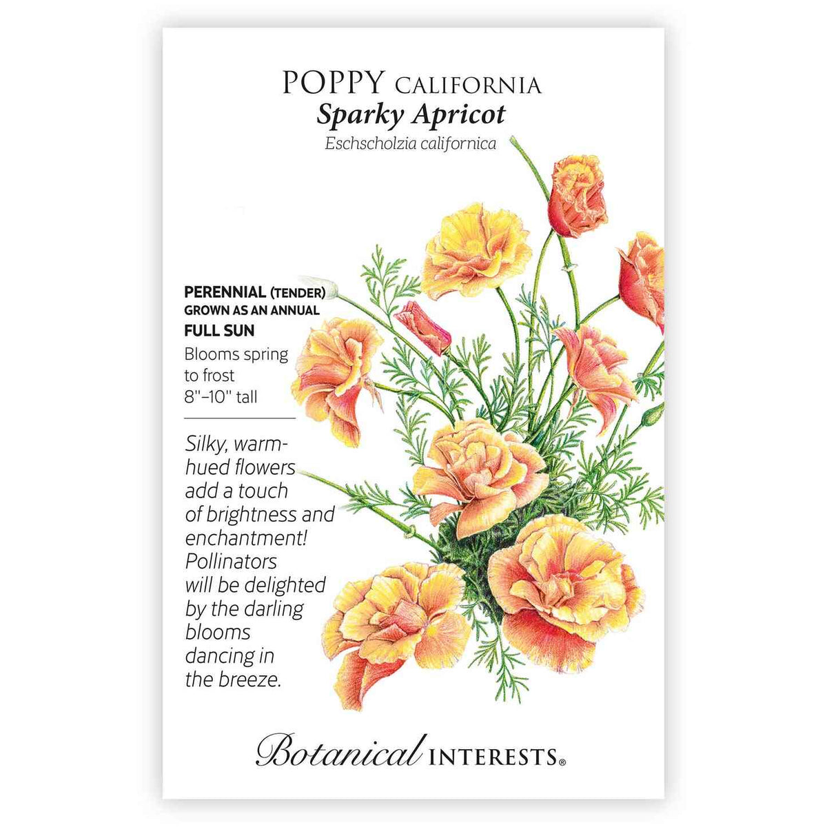 Front of a Botanical Interests "Poppy California Sparky Apricot" seed packet displaying a botanical illustration of vibrant apricot and orange California poppy blooms with fine green stems on a white background.