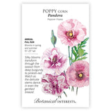 Front of a Botanical Interests 
