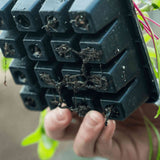 Bottom part of the Epic 16 Cell Seed Starting Trays with soil residue held by a hand