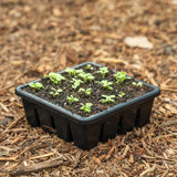 Epic 16 Cell Seed Starting Tray with young green plants on a mulched surface