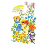 Botanical illustration of a variety of edible flowers and herbs—including nasturtiums, borage, calendula, bachelors button, and chives—on a white background.