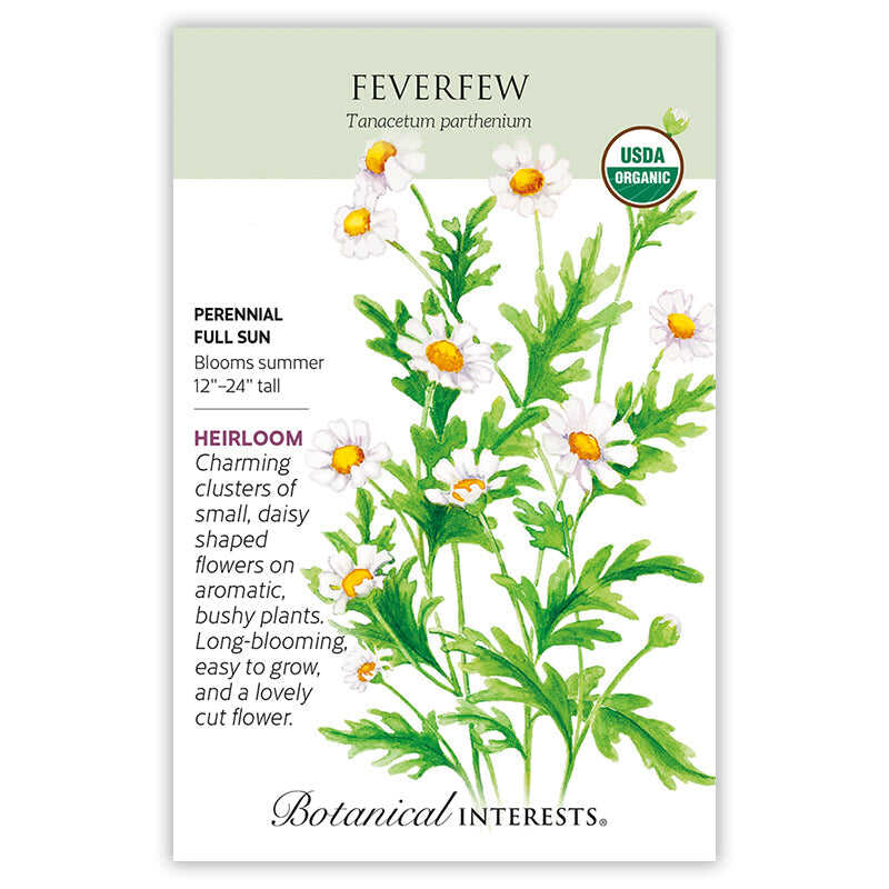 Front of an organic Botanical Interests seed packet for Feverfew Seeds featuring a USDA Organic seal and botanical information and illustrations of small white, daisy-like flowers with yellow centers and green leaves.