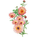 Botanical illustration of Zeolights pot marigold showing a cluster of shaggy, quill-petalled blooms in shades of coral, pink and peachy-orange with dark centres, accompanied by unopened buds and slender green leaves on a white background.