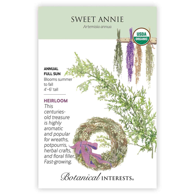 Seed packet for Sweet Annie (Artemisia annua) featuring an illustration of feathery green foliage, a dried herb wreath tied with a purple ribbon, and hanging bundles of dried flowers, with text noting it's an heirloom annual for full sun, 4'–6' tall, blooming summer to fall and prized for wreaths and crafts.