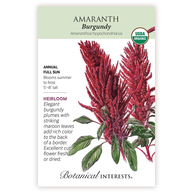 Seed packet for Heirloom Burgundy Amaranth featuring an illustration of tall, drooping crimson flower plumes with deep maroon-veined leaves, plus text noting it's an organic annual for full sun, growing 5 to 8 feet tall with blooms from summer to frost.
