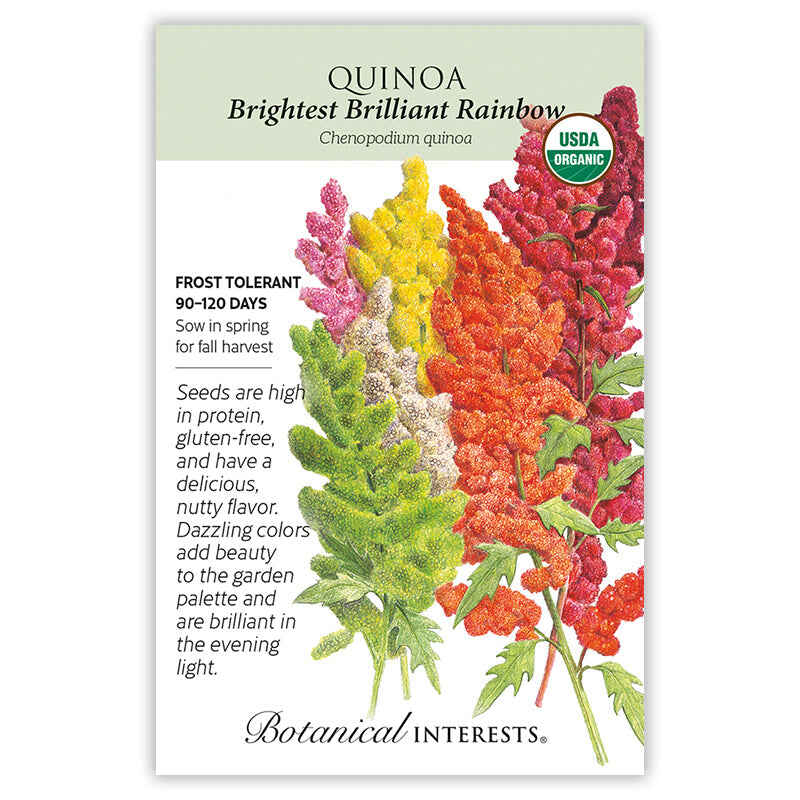 Seed packet for Brightest Brilliant Rainbow Quinoa featuring an illustration of dense, feathery seed clusters in pink, yellow, cream, orange, and deep red, with USDA Organic badge and text noting frost tolerance, 90-120 day maturity, and high-protein, gluten-free seeds.