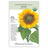 Seed packet for USDA Organic Sunspot Dwarf Sunflower featuring an illustration of a large golden bloom with a dark textured center, green serrated leaves, and a ladybug on the stem, with text noting it's an annual for full sun, blooming summer to frost, growing 18–24 inches tall with blossoms up to 10 inches wide.