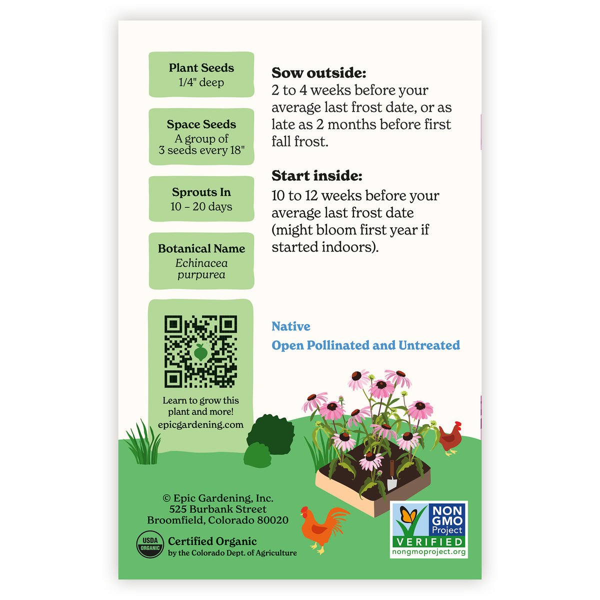 Purple Coneflower Echinacea seed packet with planting instructions and product details on a white background