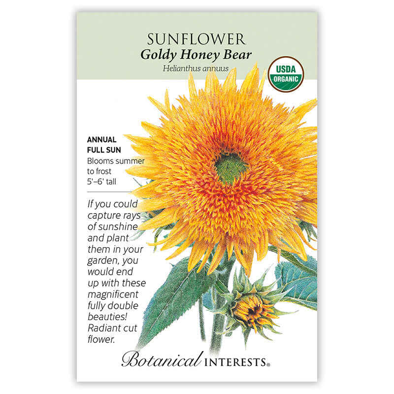 Sunflower seed packet with 'Goldy Honey Bear' variety botanical information and flower illustration on a white background