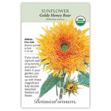 Sunflower seed packet with 'Goldy Honey Bear' variety botanical information and flower illustration on a white background