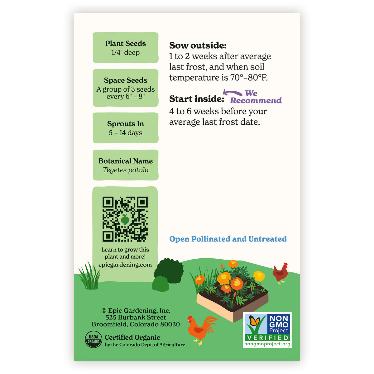 Sparky Marigold seed packet with plant care instructions, growing instructions, and and epic gardening branding information.