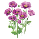 Illustration of Poppy Breadseed Hungarian purple flowers with green stems and leaves on a white background