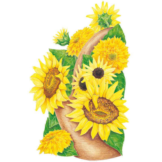 Illustration of Elves Blend dwarf sunflowers showing an arrangement of golden yellow blooms in varying forms, some with dark brown centres and others fully double and shaggy-petalled, alongside a green bud and leaves.