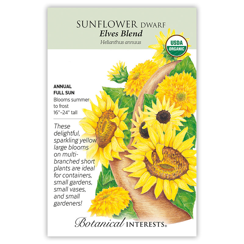 Seed packet for Botanical Interests organic Dwarf Sunflower Elves Blend, illustrated with an assortment of ruffled and classic yellow sunflower blooms with dark and green centers spilling from a wooden basket, alongside text noting it's an annual, full sun, blooming summer to frost, growing 16–24 inches tall, suited for containers and small gardens.