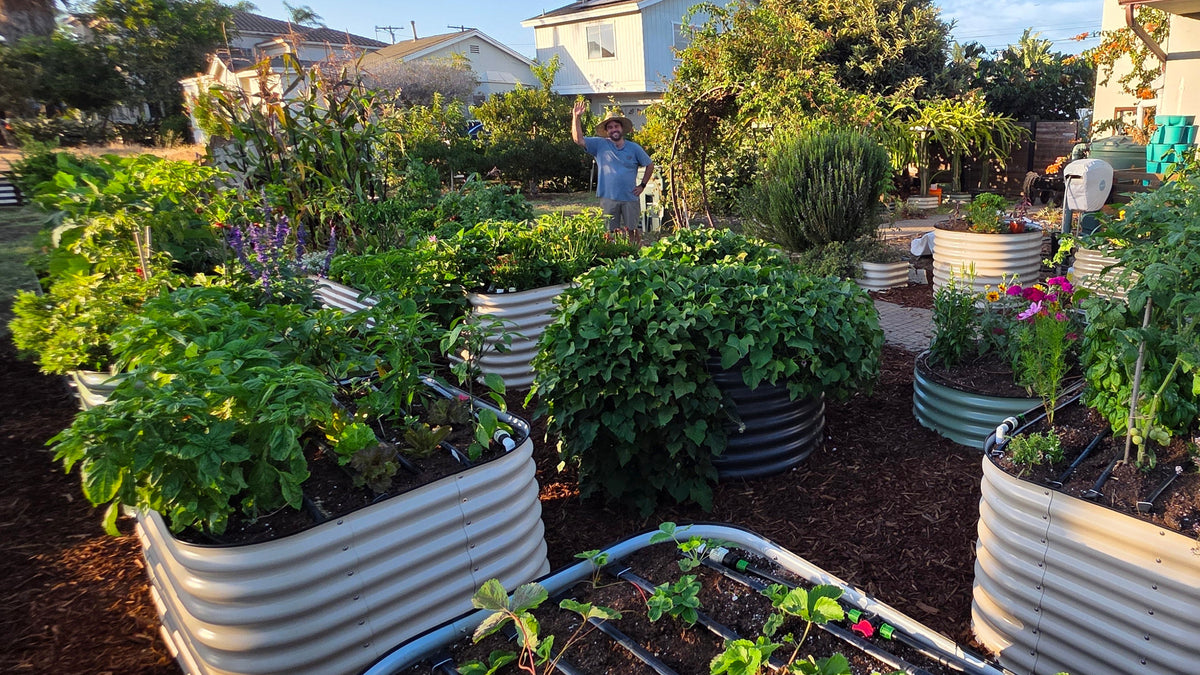 Epic metal raised garden bed