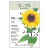 Seed packet for Botanical Interests organic heirloom Lemon Queen Sunflower, illustrated with a large yellow bloom and dark center visited by bees, alongside text noting it's an annual for full sun, blooming summer to frost, reaching 5 to 7 feet tall, and prized as a pollinator-friendly cut flower.