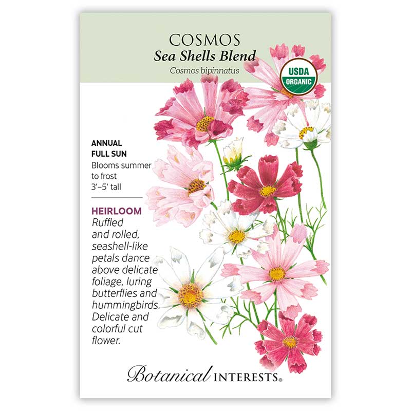 Front of an organic Botanical Interests seed packet for Sea Shells Blend Cosmos Seeds featuring a USDA Organic seal and botanical information and illustration of pink, rose, and white cosmos flowers with fluted, seashell-like petals.