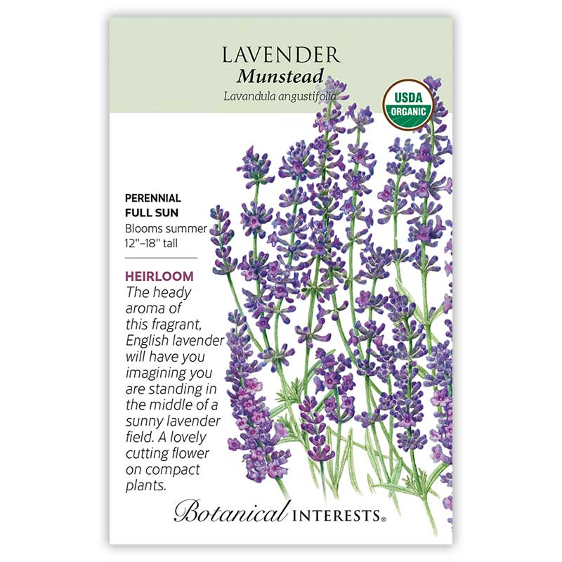 Seed packet for USDA Organic Munstead Lavender featuring an illustration of tall purple flower spikes with narrow gray-green leaves, alongside text noting it's a heirloom perennial for full sun, blooming summer at 12–18 inches tall, prized as a fragrant cutting flower.