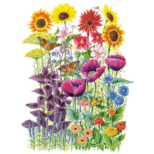Illustrated mix of pollinator garden flowers including sunflowers, red gerbera daisies, pink cosmos, purple poppies, cornflowers, zinnias, and purple basil foliage, with two orange butterflies and a bee visiting the blooms.