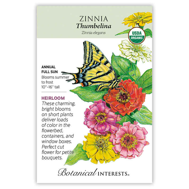 Front of a Botanical Interests seed packet for Thumbelina Zinnia Seeds featuring USDA Organic seal and plant growing details and a colorful illustration of a yellow swallowtail butterfly resting on pink, red, and yellow zinnia blooms.