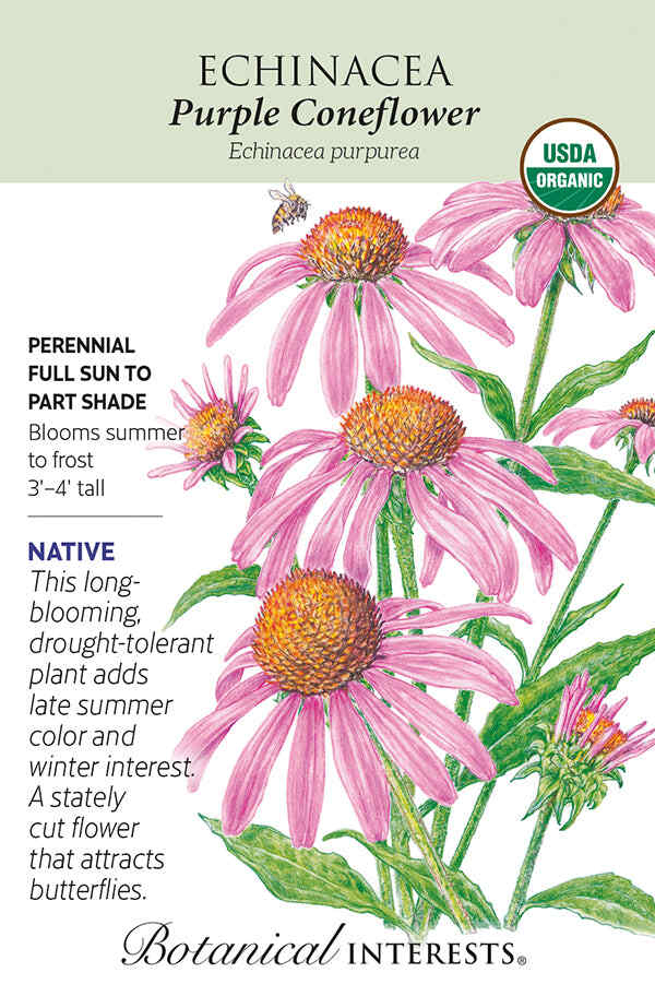 Seed packet for organic Purple Coneflower Echinacea featuring an illustration of pink daisy-like flowers with orange-brown centers and a bee, alongside text noting it's a native perennial for full sun to part shade, blooming summer to frost at 3 to 4 feet tall.
