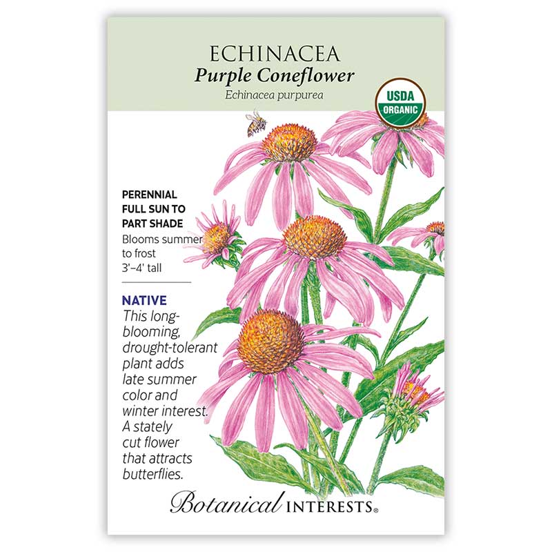Seed packet for organic Purple Coneflower (Echinacea purpurea) featuring an illustration of pink daisy-like blooms with orange centers and a bee, alongside text noting it's a native, drought-tolerant perennial for full sun to part shade, blooming summer to frost at 3'–4' tall.