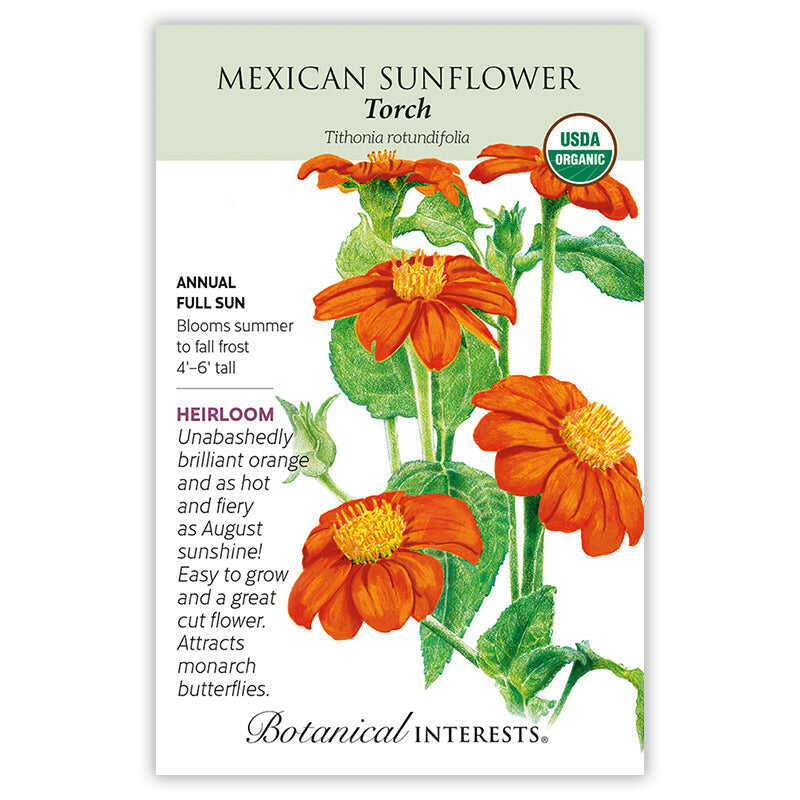 Seed packet for Torch Mexican Sunflower featuring an illustration of vivid orange, daisy-like blooms with yellow centers on leafy green stems, with text noting it's a USDA Organic heirloom annual for full sun, blooming summer to fall frost, 4-6 feet tall, and attracts monarch butterflies.