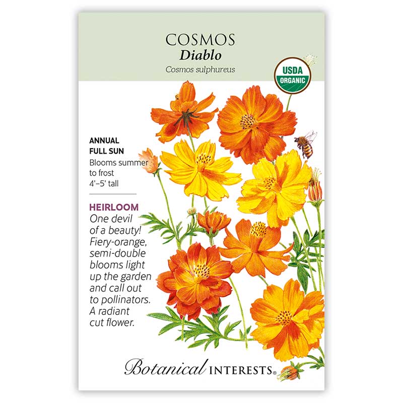 Seed packet for Diablo Cosmos featuring an illustration of fiery orange and yellow semi-double blooms with a bee, labeled USDA Organic and Heirloom, with text noting it's an annual for full sun, blooming summer to frost, growing 4 to 5 feet tall.
