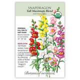 Front of an organic Botanical Interests seed packet for Tall Maximum Blend Snapdragon Seeds displaying a USDA Organic seal, heirloom description, and a botanical illustration of colorful tall snapdragon flower spikes with a bumblebee.