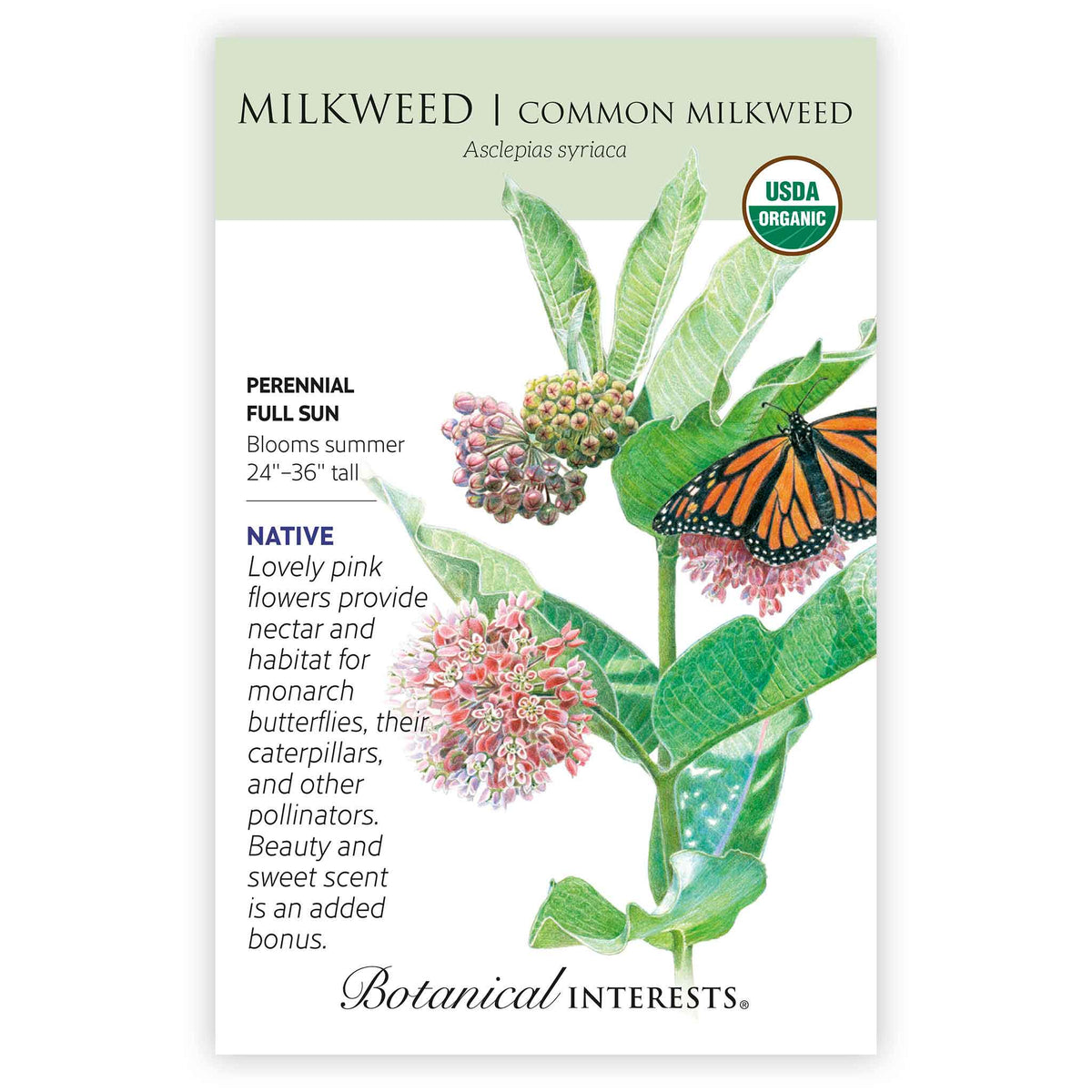 Front of an organic Botanical Interests seed packet for Common Milkweed/Butterfly Flower Seeds displaying a USDA Organic seal, native plant details, and a botanical illustration of green milkweed leaves, pink flowers, and a monarch butterfly.