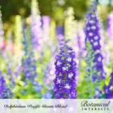 A tall deep-purple delphinium spike with white-eyed florets stands in sharp focus amid a soft blur of similar blue and lavender blooms, with text reading 