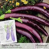Several glossy, dark purple Long Purple eggplants laid out on a dark wooden surface with green leaves, yellow flowers, and a Botanical Interests seed packet, labeled 