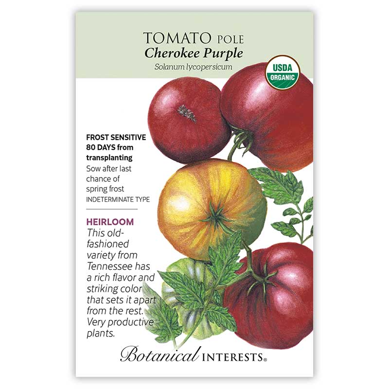 Seed packet for Cherokee Purple Pole Tomato with an illustration of dusky red-purple, dark-shouldered tomatoes on the vine, plus USDA Organic seal and text noting it's an indeterminate heirloom variety from Tennessee, frost sensitive, 80 days from transplanting.