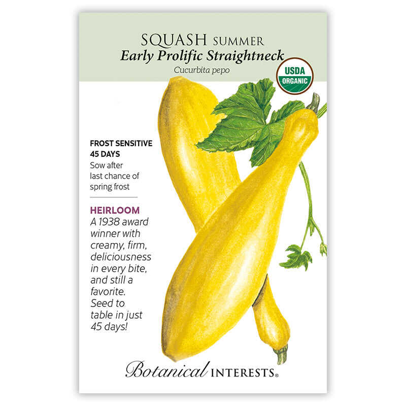 Earily Prolific Straightneck Summer Squash seed packet with botanical illustration and botanical information.