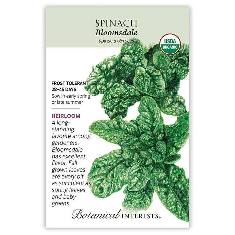 Front of an organic Botanical Interests seed packet for Bloomsdale Spinach Seeds displaying a USDA Organic seal, heirloom description, and a botanical illustration of lush green savoyed spinach leaves.