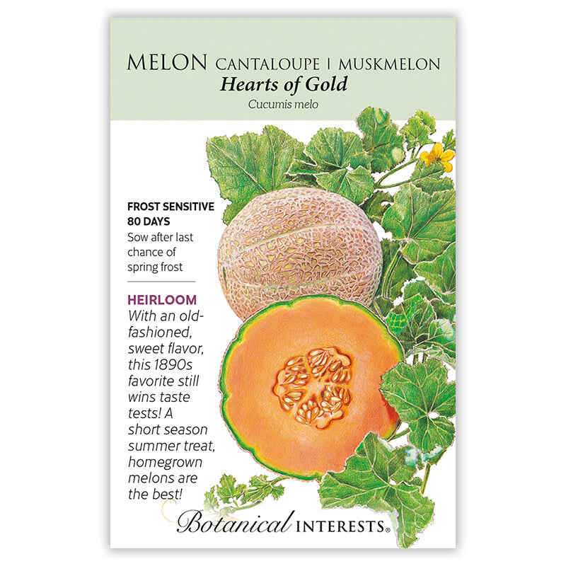 Hearts of Gold Melon Cantaloupe seed packet with cantaloupe illustration and text about the variety 'Hearts of Gold' by Botanical Interests.
