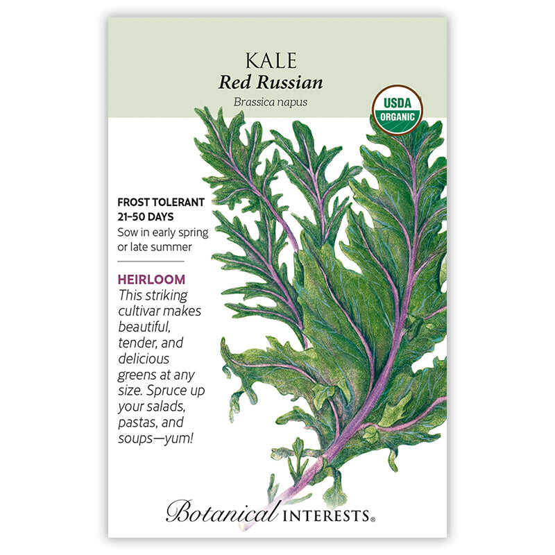 Seed packet for Red Russian Kale featuring an illustration of deeply lobed, frilly green leaves with purple veins and stems, with USDA Organic and heirloom labels and text noting frost tolerance, 21-50 days to maturity, and sowing in early spring or late summer.