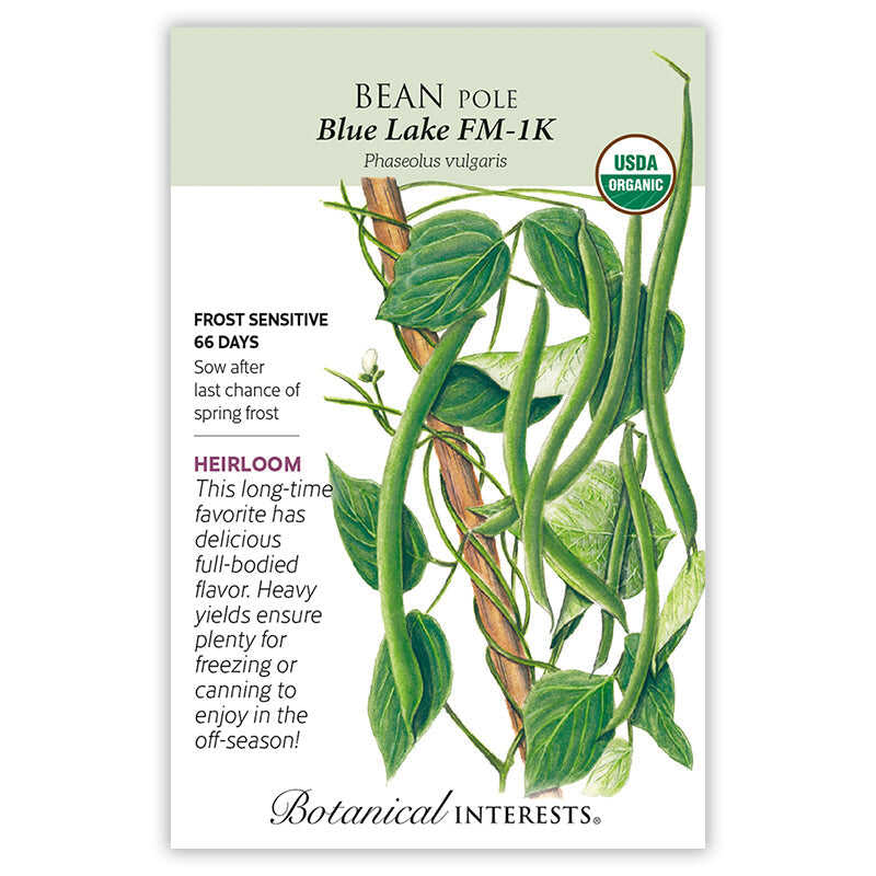 Front of an organic Botanical Interests seed packet for Blue Lake FM-1K Pole Bean Seeds displaying a USDA Organic seal, growing details, and a botanical illustration of green bean vines, hanging pods, and white blossoms.