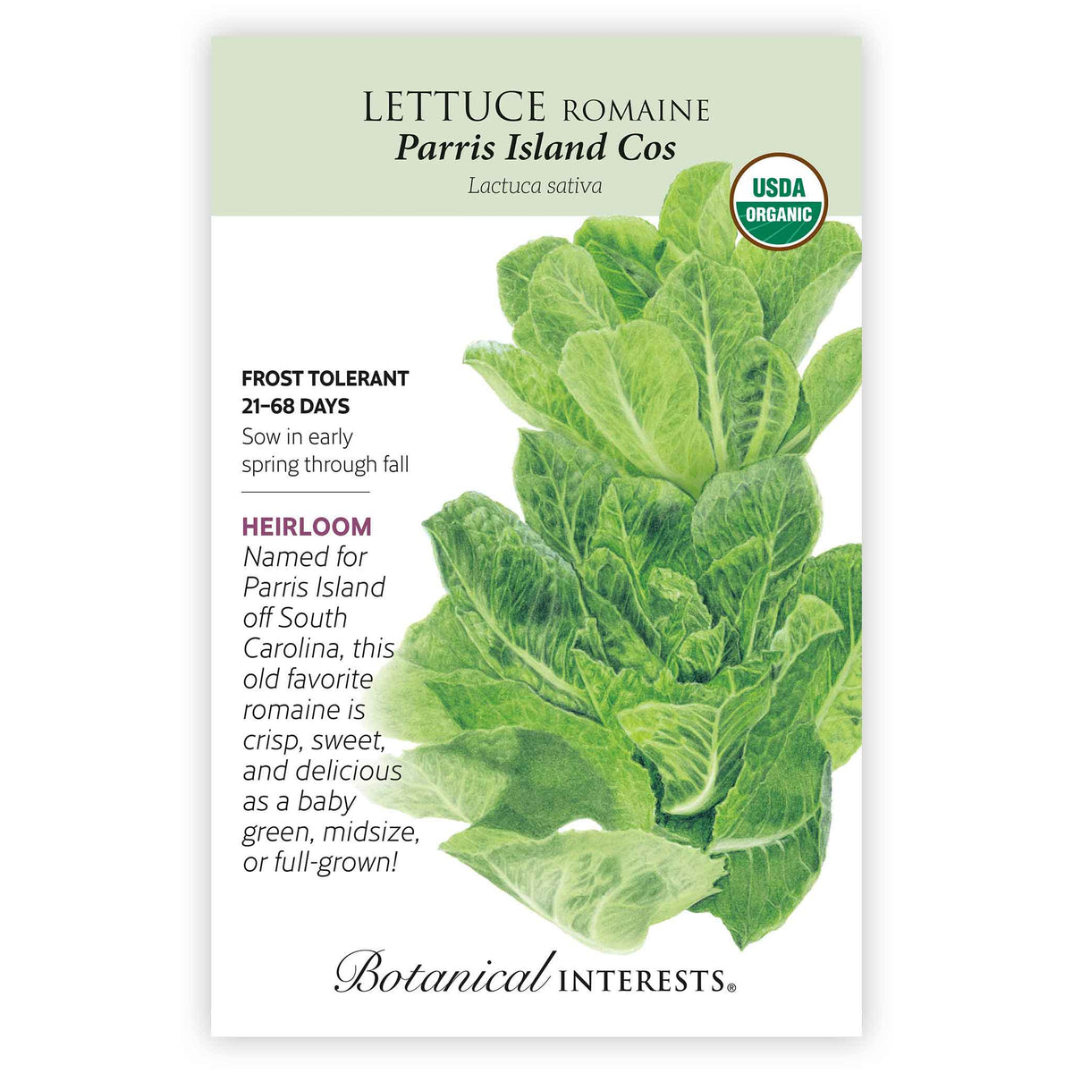 Front of an organic Botanical Interests seed packet for Parris Island Cos Romaine Lettuce Seeds featuring a USDA Organic seal and botanical information and  illustration of upright green romaine lettuce.