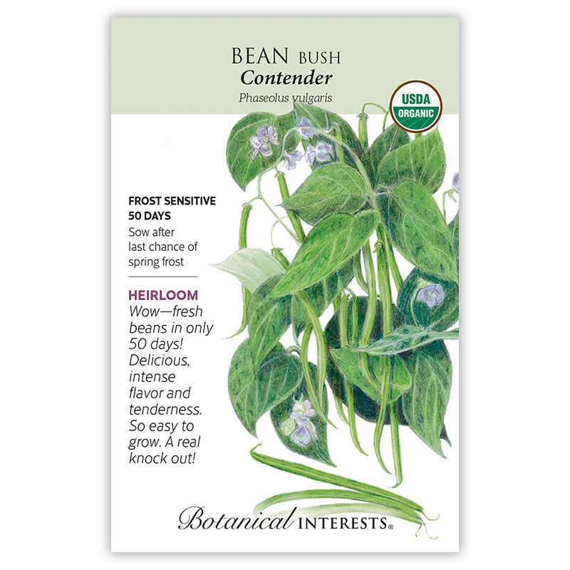 Seed packet for Bush Contender organic heirloom beans, illustrated with a detailed botanical drawing of green leaves, pale purple flowers, and slender bean pods, with text noting it's frost sensitive, ready in 50 days, and USDA organic certified.