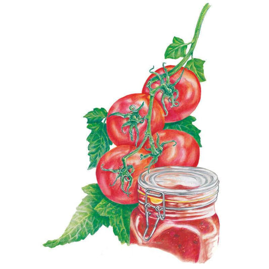 Illustration of a vine with four round red Ace 55 bush tomatoes and green leaves, set beside a clip-top glass jar filled with red tomato sauce or preserve.
