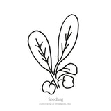 Line drawing labeled 