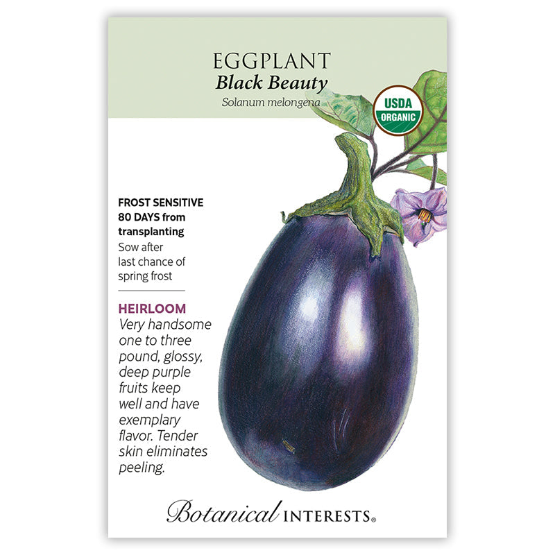 Seed packet for Botanical Interests organic Black Beauty eggplant, illustrated with a glossy deep purple fruit, its stem and a lavender flower, alongside text noting it's frost sensitive, 80 days from transplanting, and describing the heirloom's one-to-three-pound fruit with tender, easy-to-peel skin.