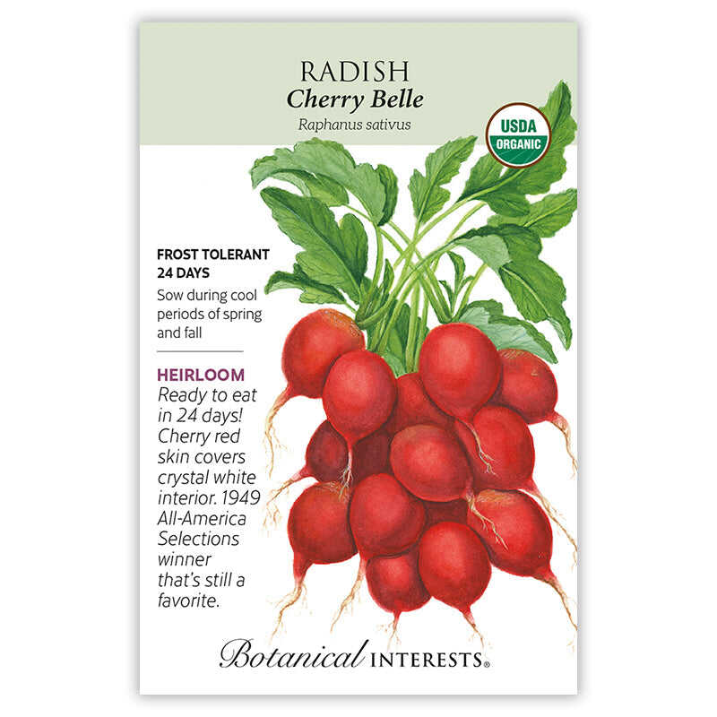 Front of an organic Botanical Interests seed packet for Cherry Belle Radish Seeds displaying a USDA Organic seal, plant characteristics, and a botanical illustration of bright red round radishes with green leafy tops.