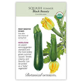 Seed packet for Botanical Interests organic heirloom Black Beauty summer squash, illustrated with dark green zucchini and yellow blossoms on a vine, with printed text noting it's frost sensitive, matures in 55 days, and describes it as tender, creamy, and pickable as a baby vegetable.
