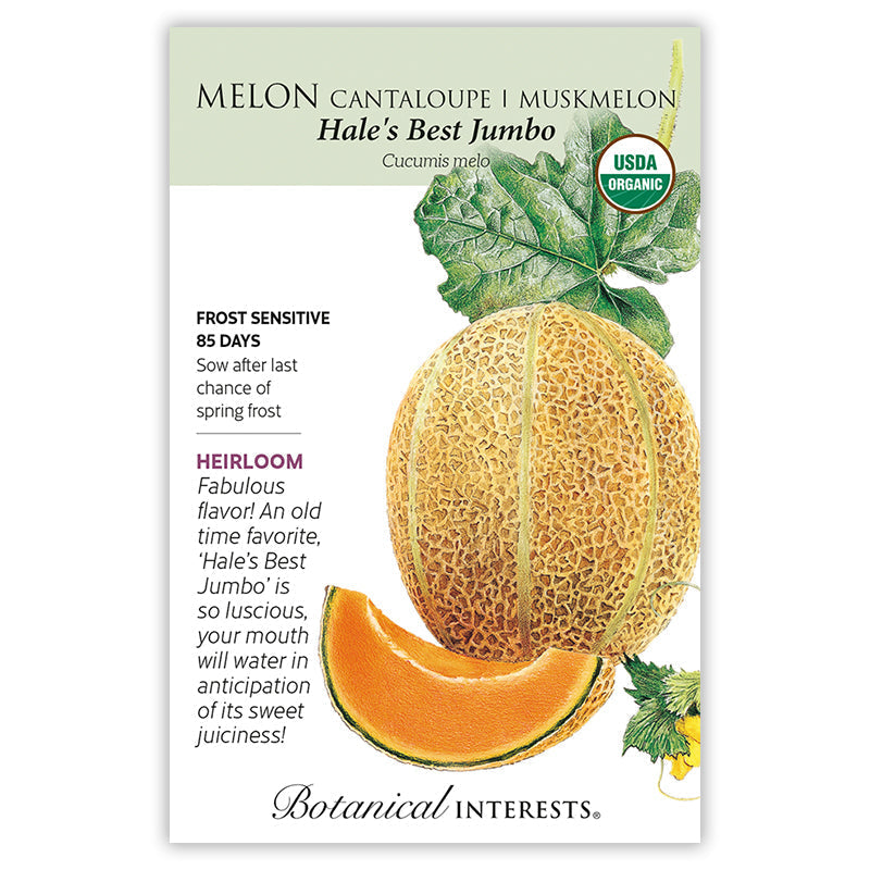 Seed packet for Botanical Interests' organic heirloom 'Hale's Best Jumbo' cantaloupe, illustrated with a netted orange melon, a cut wedge showing bright orange flesh, a vine leaf and yellow blossom, plus text noting frost sensitivity, an 85-day maturity, and USDA Organic certification.