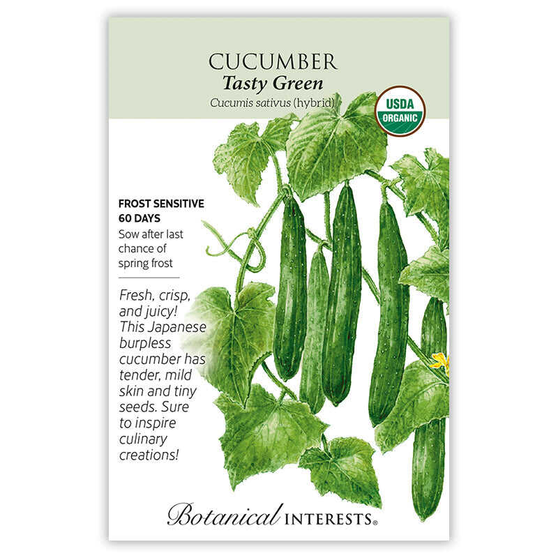 Seed packet for USDA Organic Tasty Green Cucumber, illustrated with long slender green cucumbers hanging among vines, leaves, and a yellow blossom, with text noting it's frost sensitive, matures in 60 days, and describes a tender, mild-skinned Japanese burpless variety.